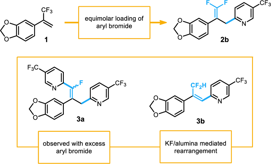 Scheme 4