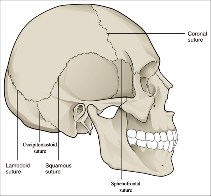 Figure 1: