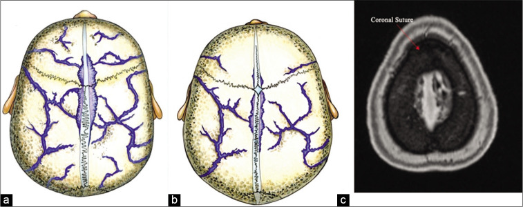 Figure 6: