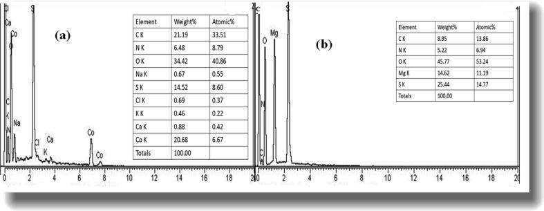 Fig. 5