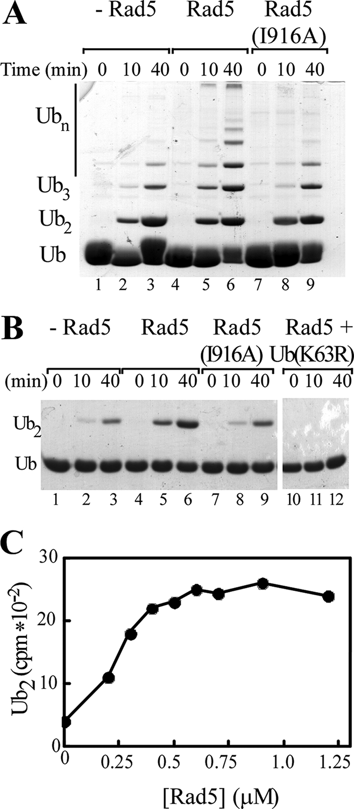 FIGURE 1.