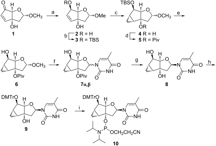 Scheme 1