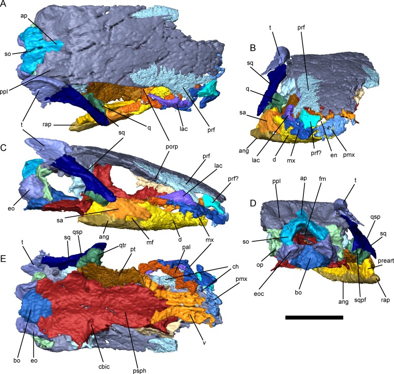 Fig 3