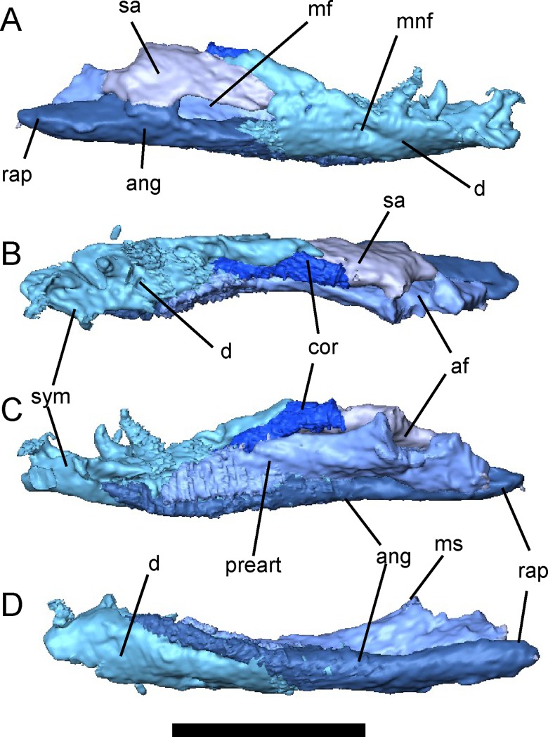 Fig 12