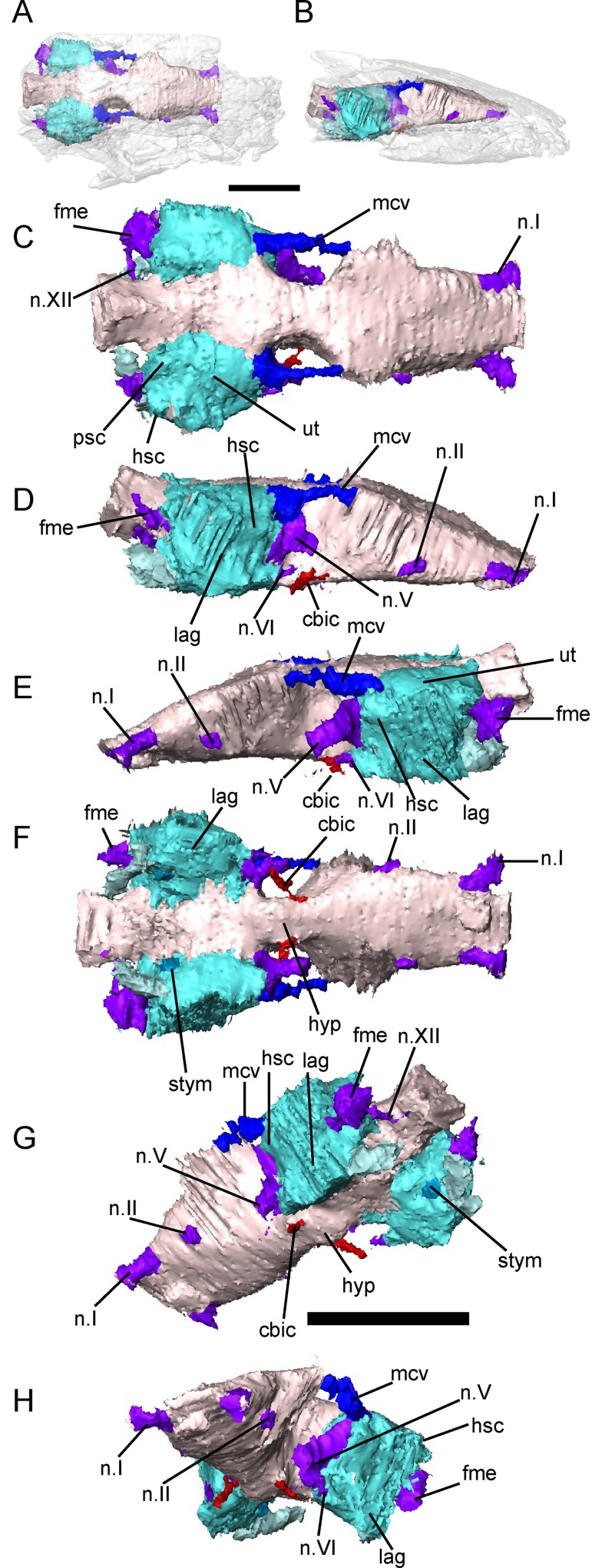 Fig 13