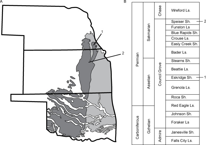 Fig 1