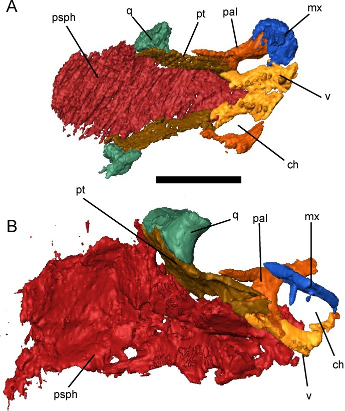 Fig 10