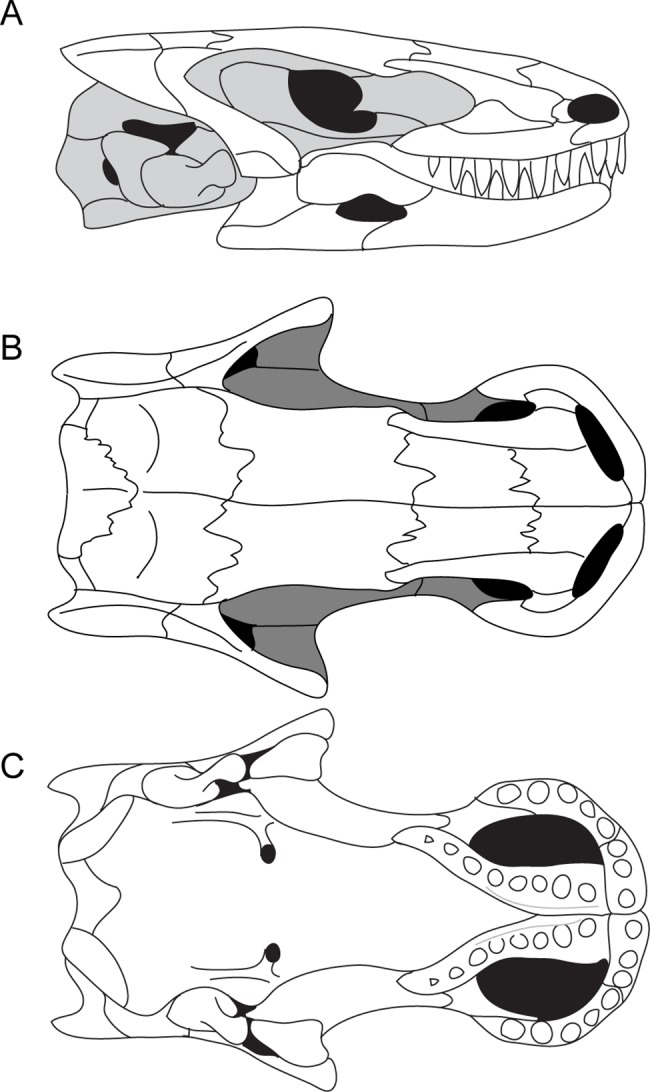 Fig 4