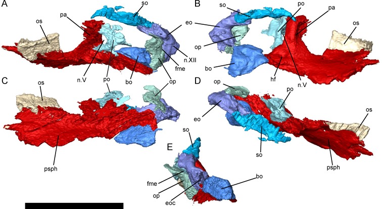 Fig 5