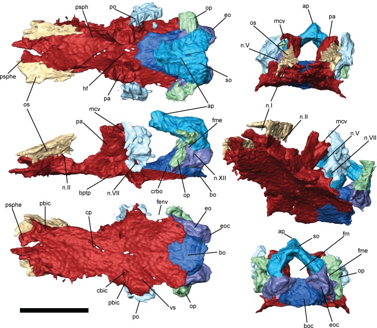 Fig 6