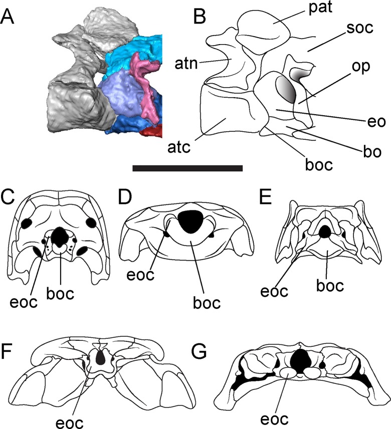 Fig 15