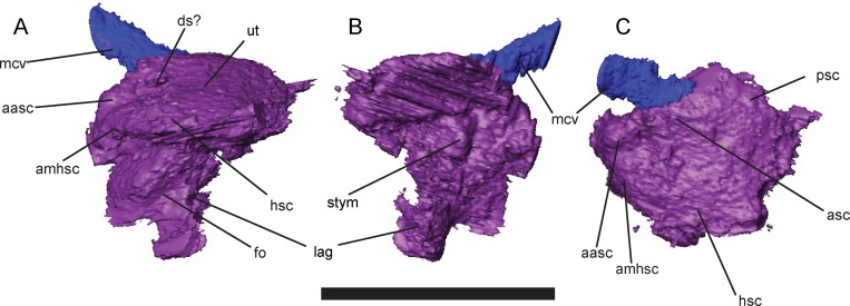 Fig 14