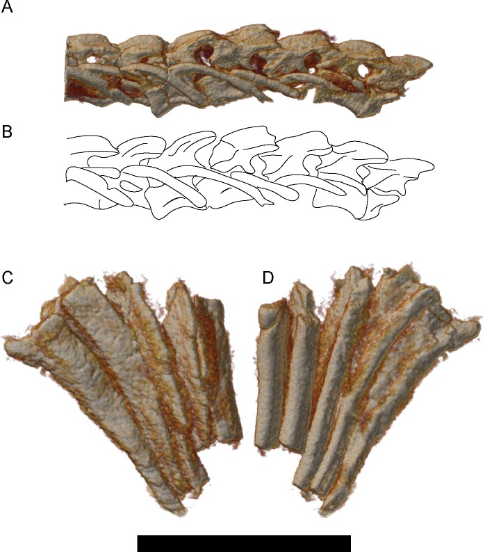 Fig 16