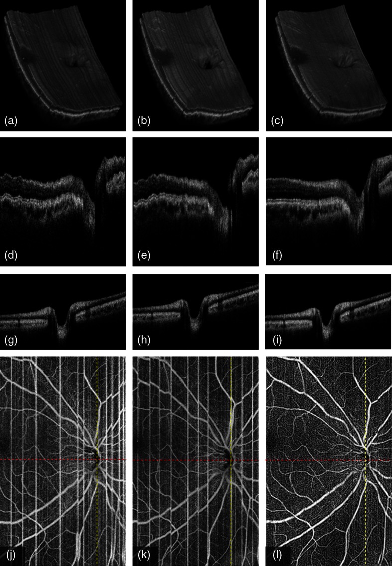 Fig. 8