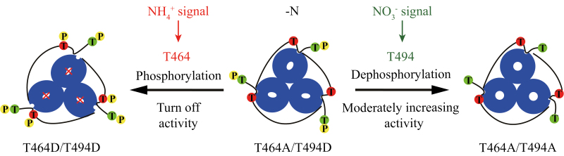 Fig. 7.