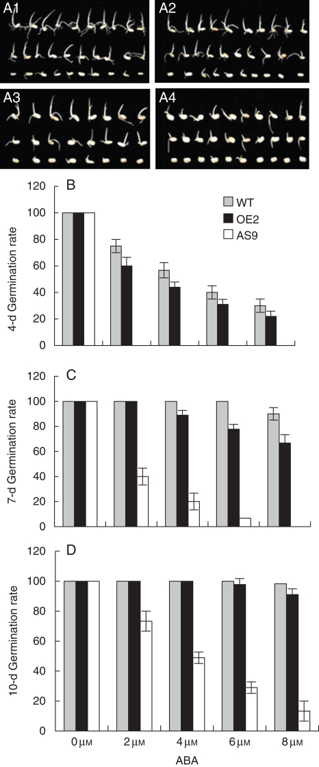 Fig. 4.