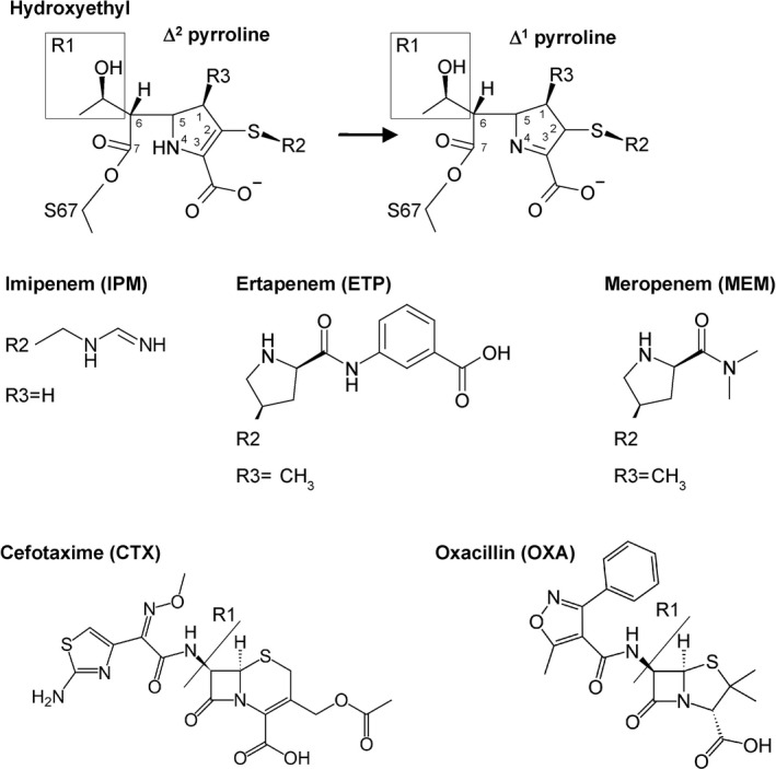 Fig. 1