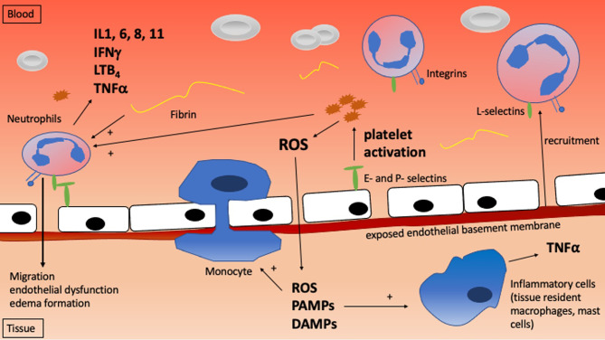 Figure 2