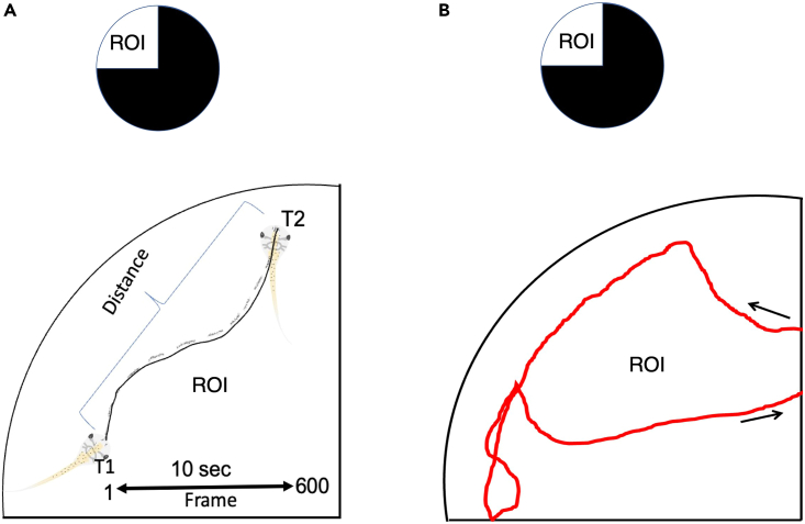 Figure 3