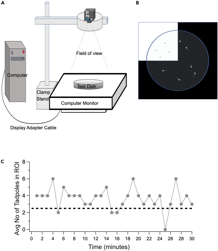 Figure 2