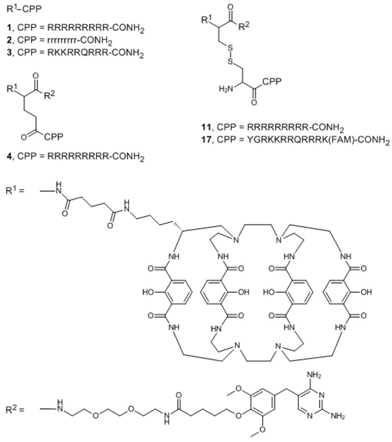 Scheme 1