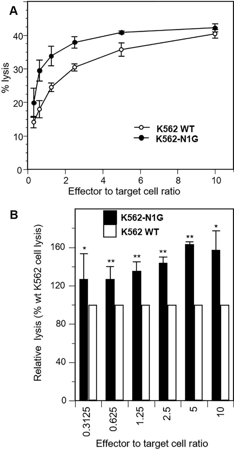 Fig 5