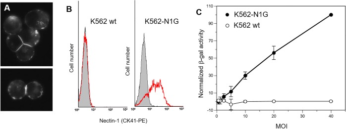 Fig 4