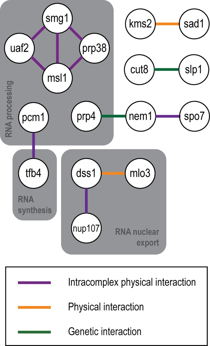 Fig 5