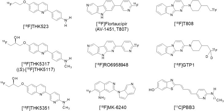 Fig. 1