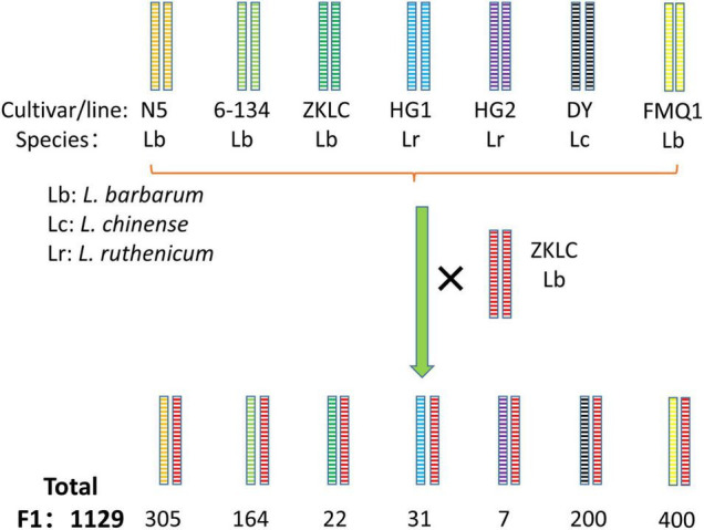 FIGURE 6