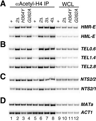 FIG. 6.