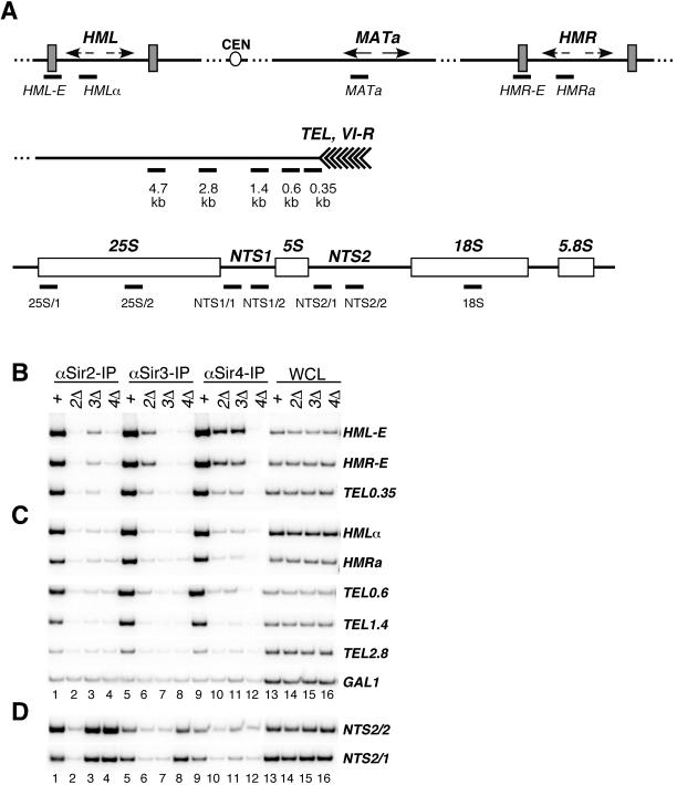 FIG. 2.