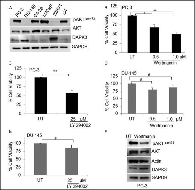 Fig. 1