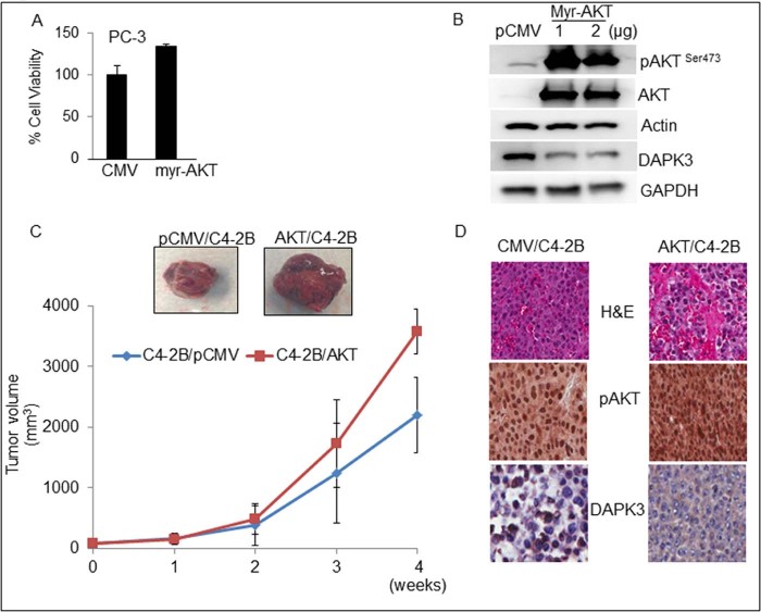 Fig. 2