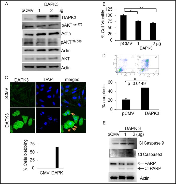 Fig. 3