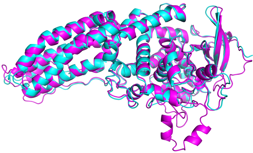 Figure 2: