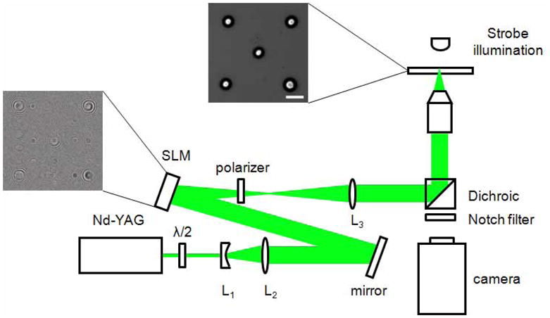 Fig. 1