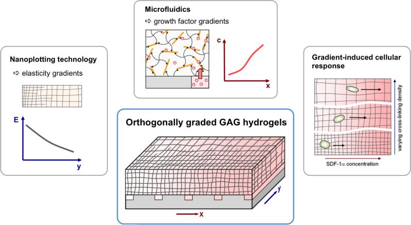 Figure 19