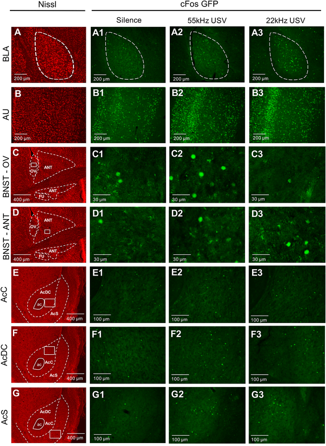 Figure 3: