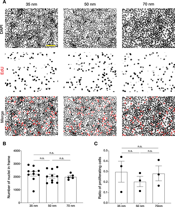 Figure 1—figure supplement 2.