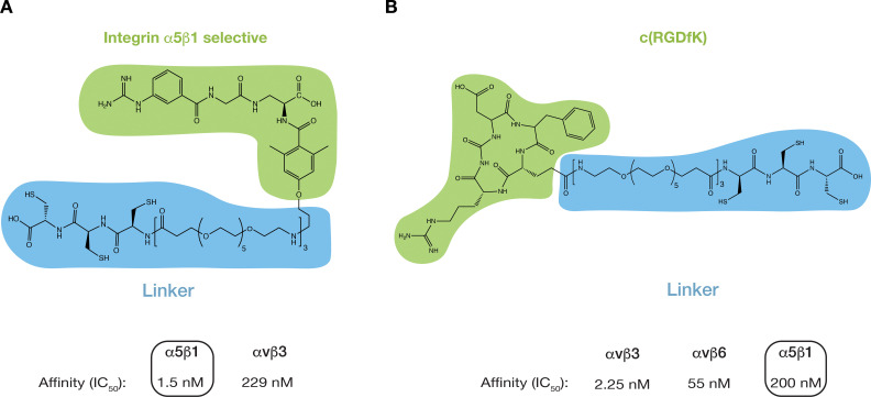 Figure 1—figure supplement 1.