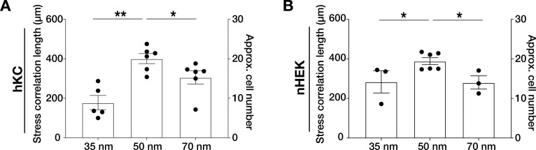 Figure 3—figure supplement 1.