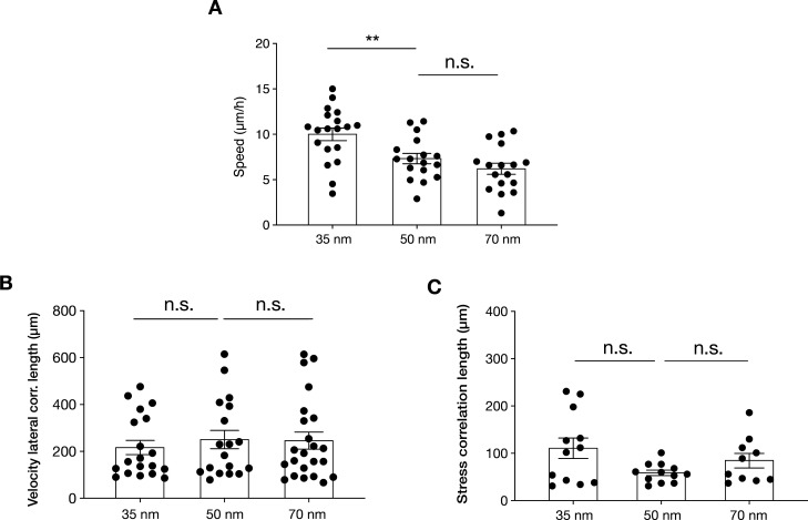 Figure 1—figure supplement 4.