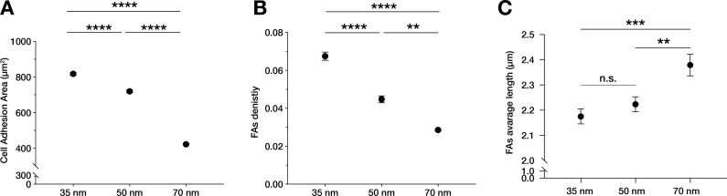 Figure 2—figure supplement 1.