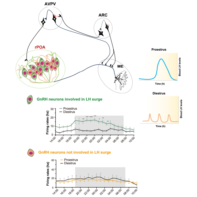graphic file with name fx1.jpg