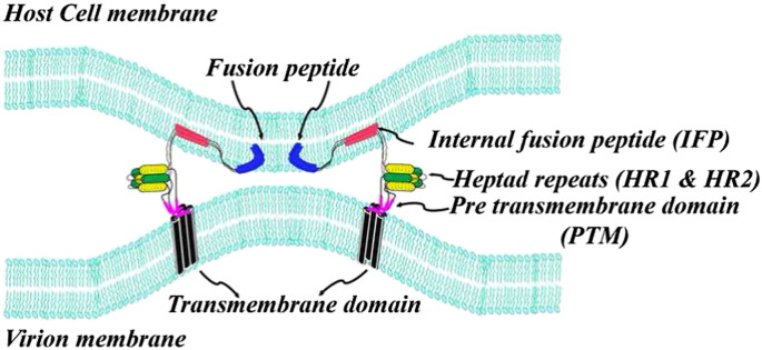 Fig. 9