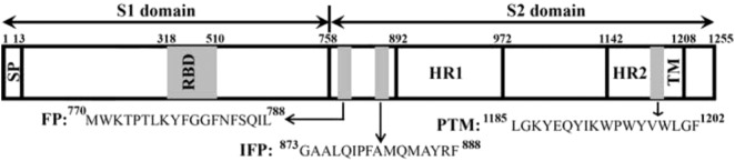 Fig. 1