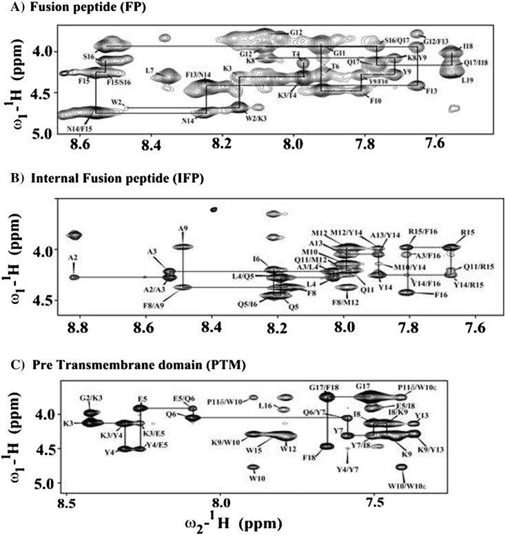 Fig. 2