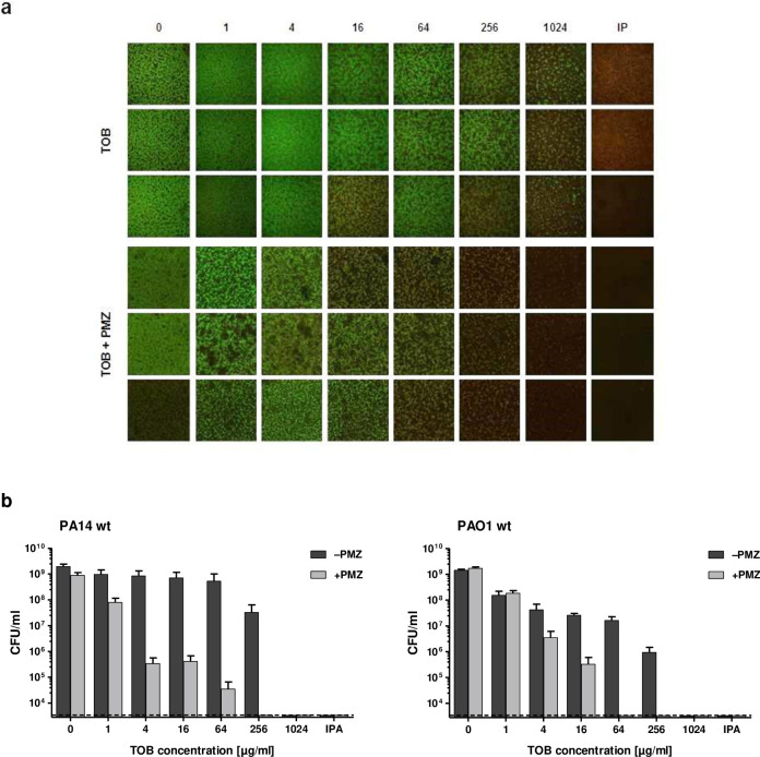 Fig 2