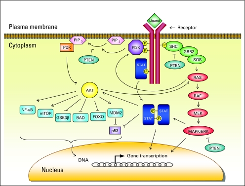 Fig 3.